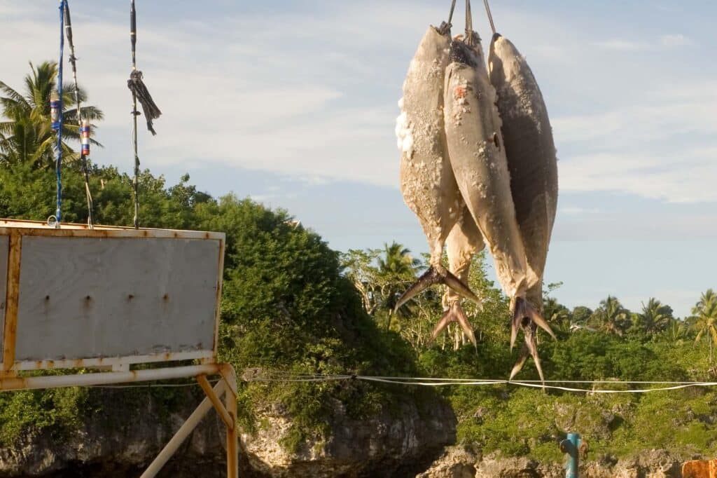 Green Climate Fund Concept Note for Niue